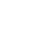 Evolution games at Cool Cat Casino